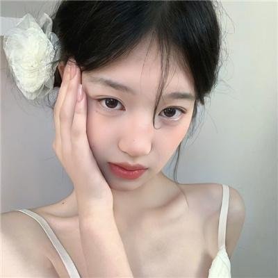 小象寻母